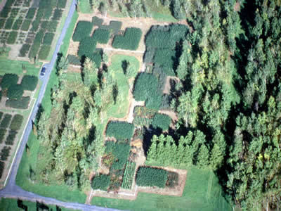 Tully Research Center in New York